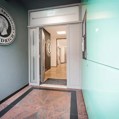 Friedrich Boutique-apartments פרייבורג