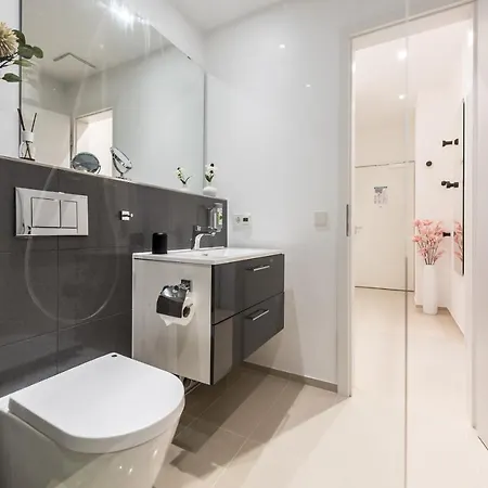 Friedrich Boutique-apartments Apart-hotel Friburgo em Brisgóvia
