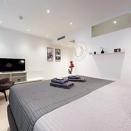 Friedrich Boutique-apartments Freiburg im Breisgau