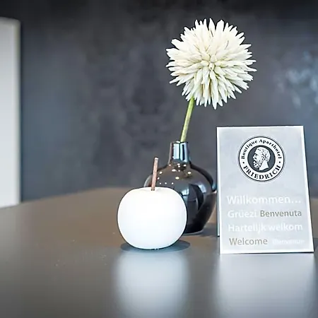 Friedrich Boutique-apartments