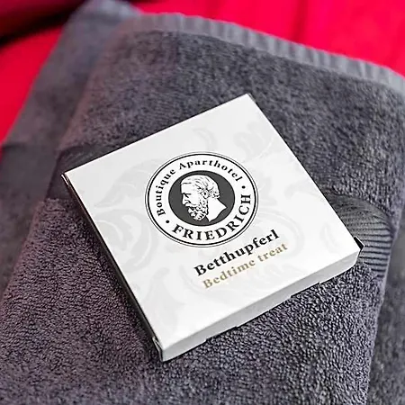 Aparthotel Friedrich Boutique-apartments Freiburg im Breisgau